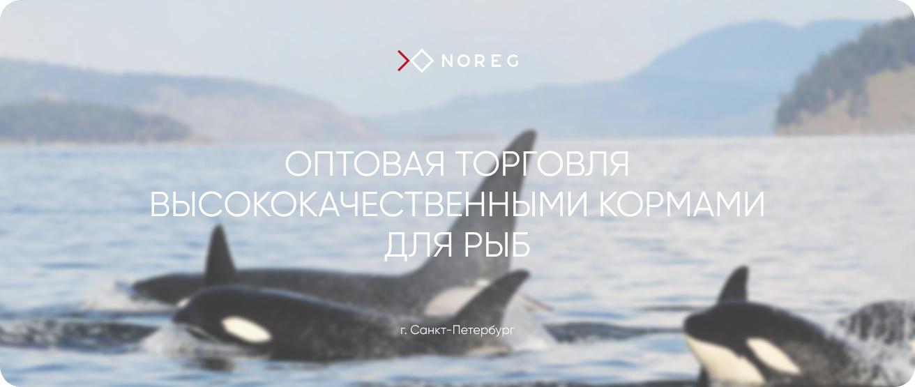 ООО «НОРЕГ»